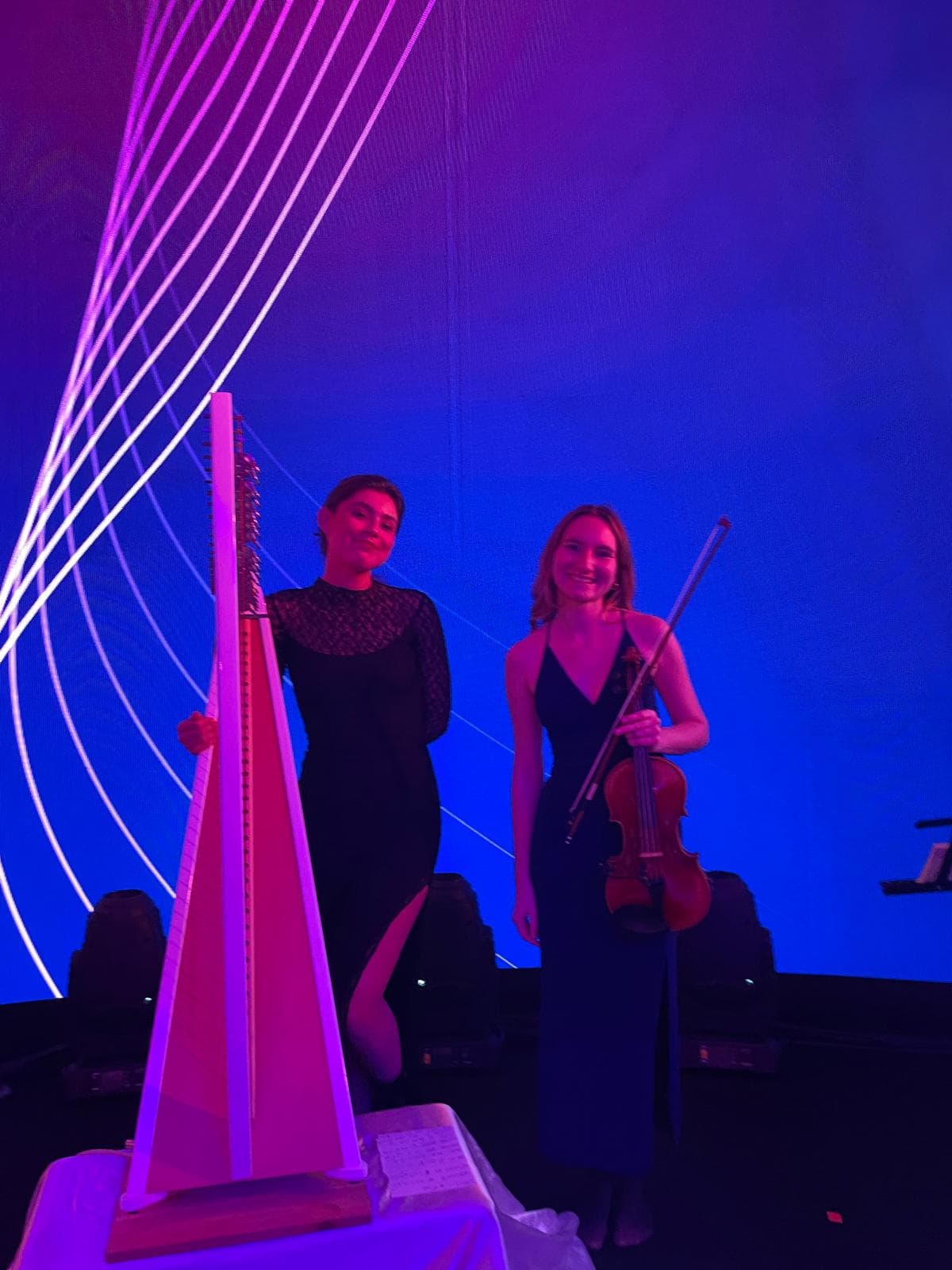 Duo harpe/violon (mariage, anniversaire, PACS, baptême, obsèques, corporate..)