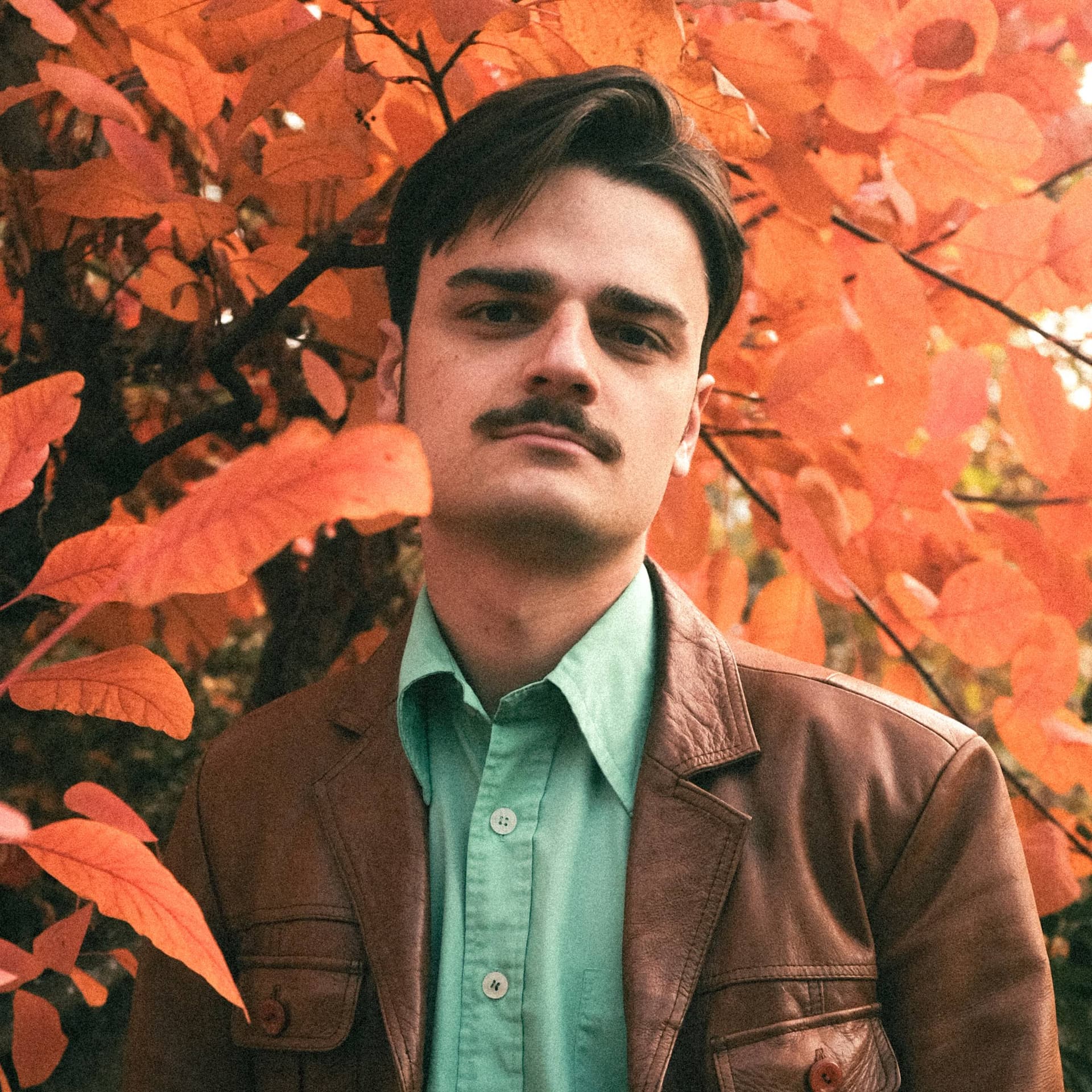 Max - guitariste & chanteur - pop-rock années 60-80